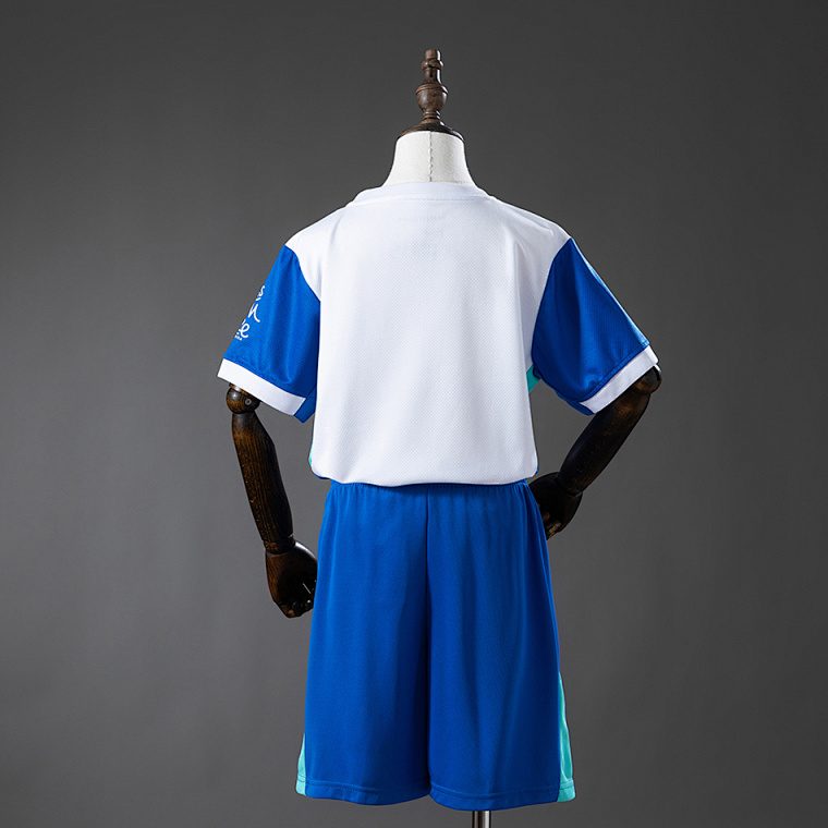 Brighton 25/26 Home Kit