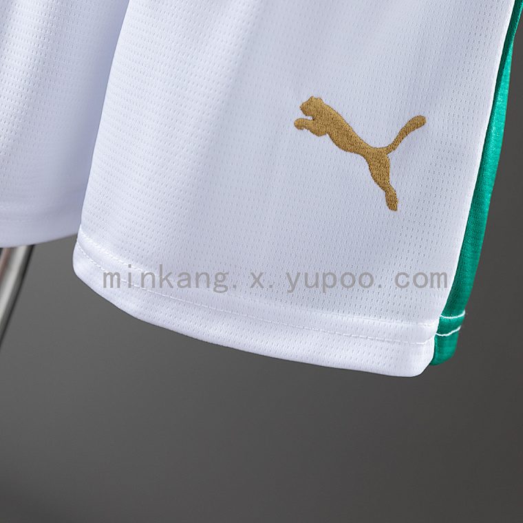 Palmeiras 25/26 Home Kit
