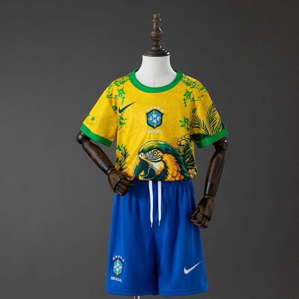 Brazil 26/27 Special Kit