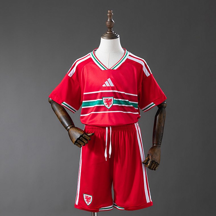 Wales 26/27 Home Kit